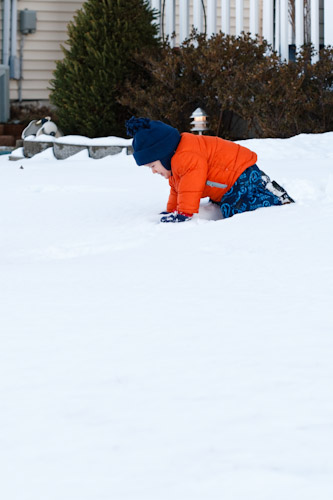 img_4516 img_4516