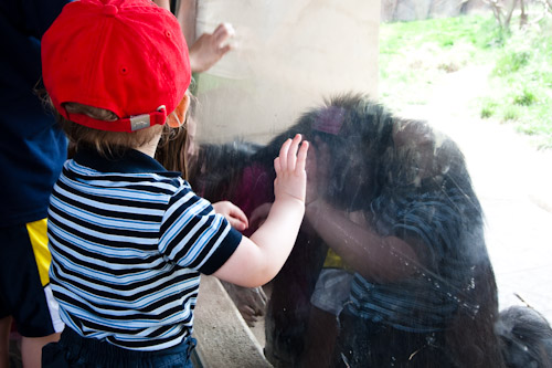 img_6402 img_6402